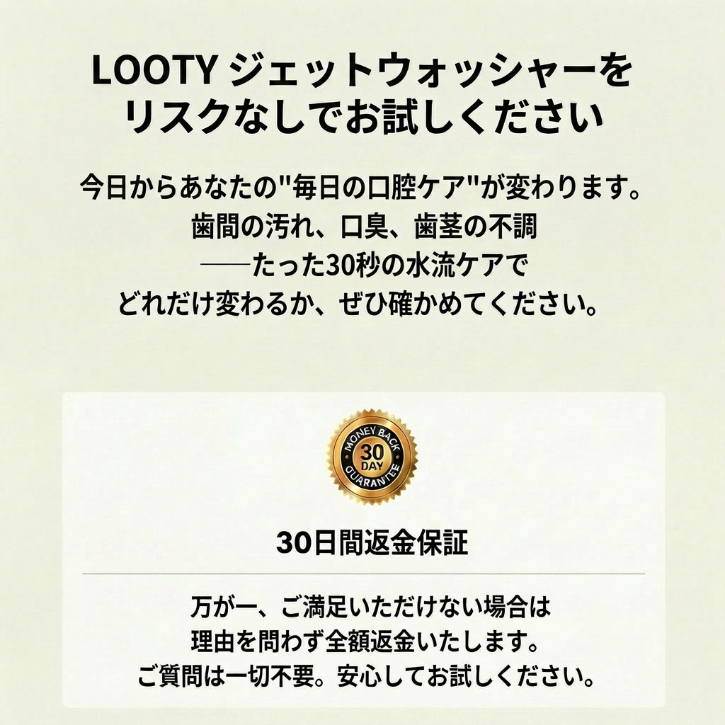 【本日終了⏰】【累計15万台突破🏆】LOOTY ジェットウォッシャー【顧客満足度No.1獲得商品🥇】【全国送料無料🚗】