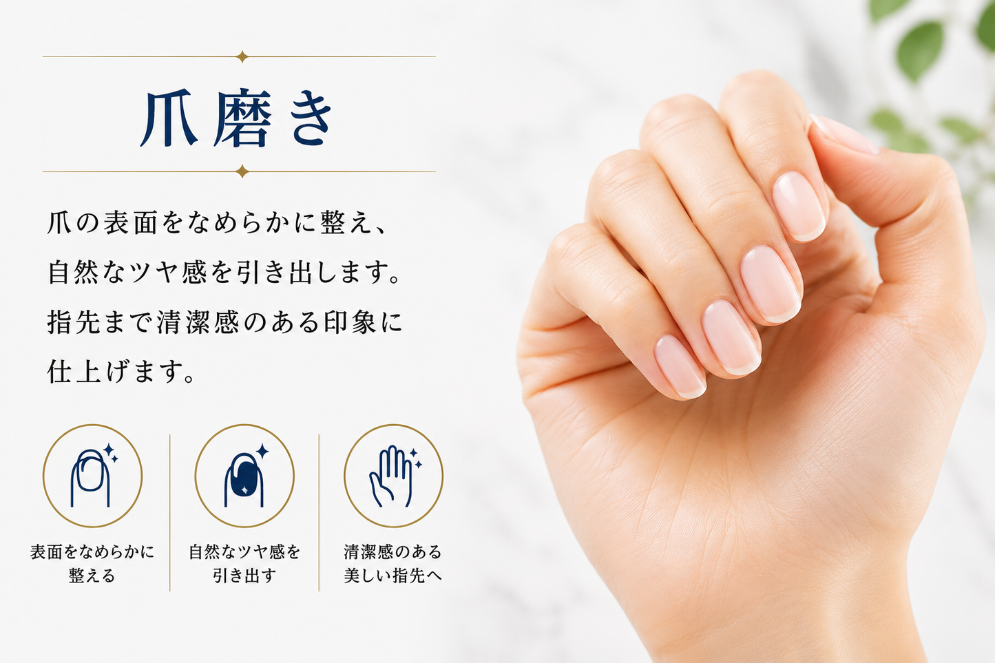 【本日終了⏰】【累計15万台突破🏆】LOOTY ナノガラス脱毛パッド【顧客満足度No.1獲得商品🥇】【全国送料無料🚗】