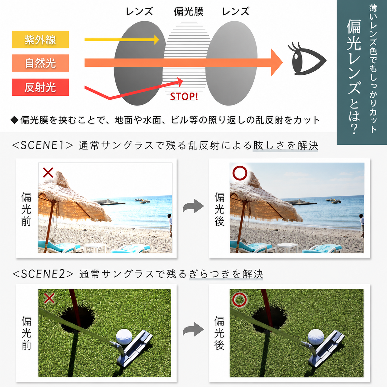 【本日終了⏰】【累計15万台突破🏆】LOOTY 偏光・調光サングラス【顧客満足度No.1獲得商品🥇】【全国送料無料🚗】